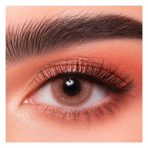 Dahab MARRON Colored Lenses – Daily Wear