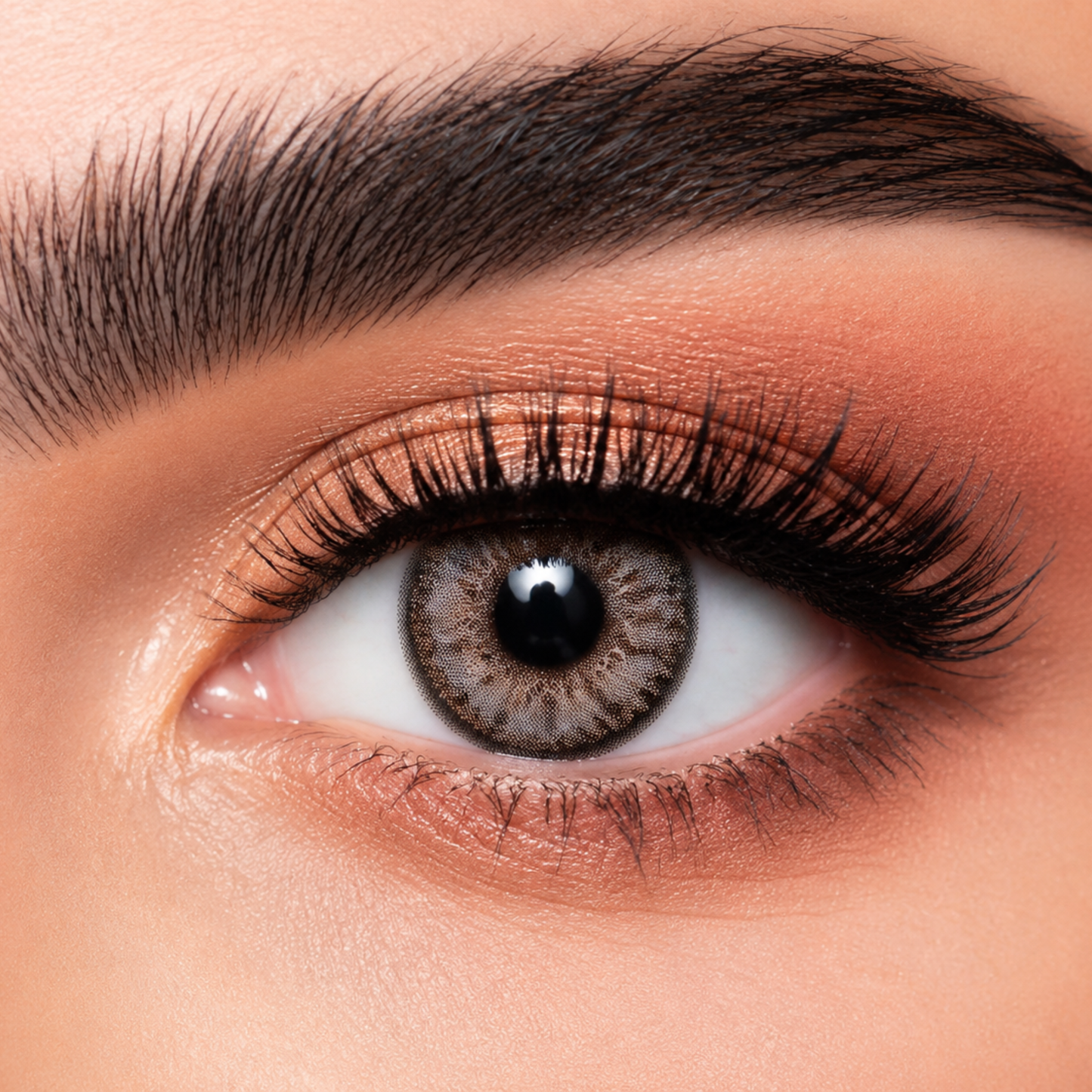 Dahab SOLITIARE Colored Lenses – Daily Wear