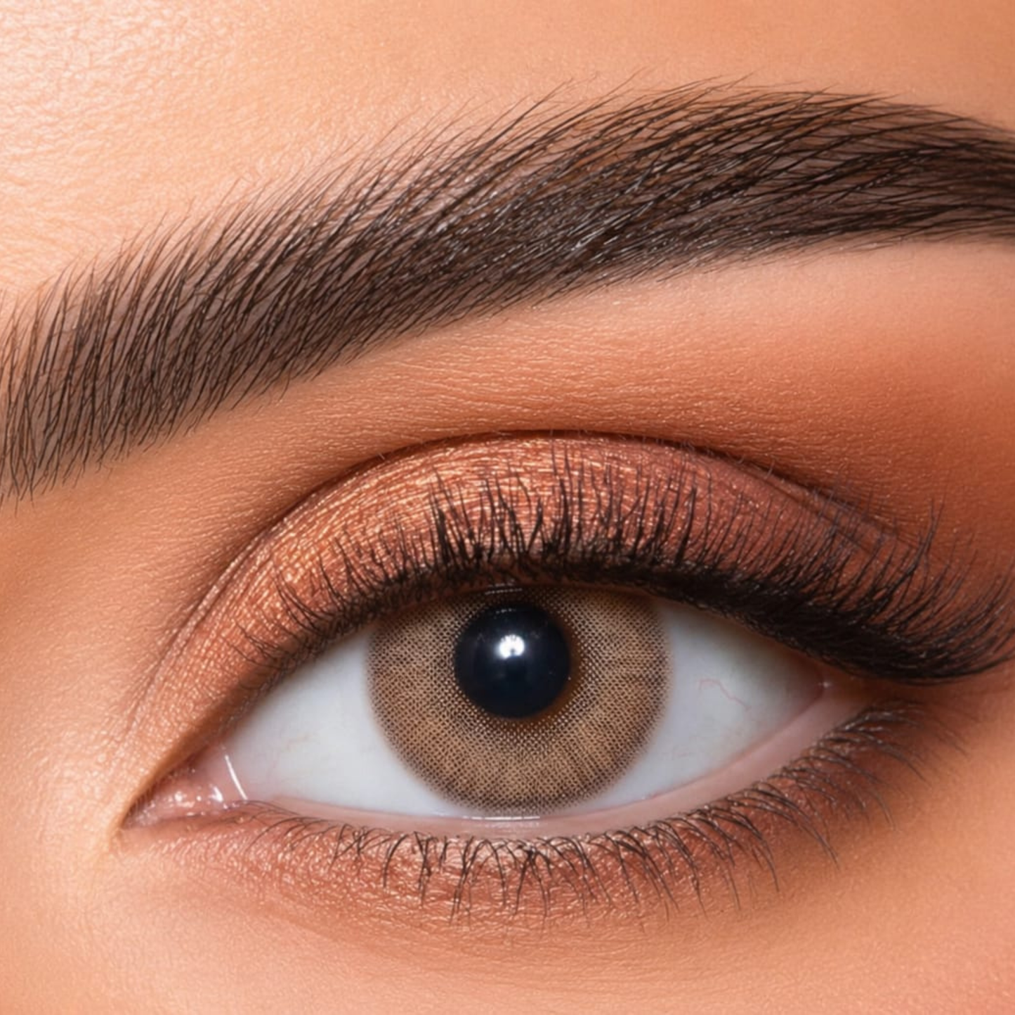 Dahab Lumirere Brown Colored Lenses – Daily Wear
